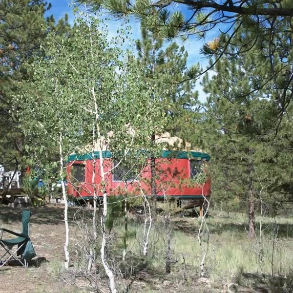 Photo of Dana