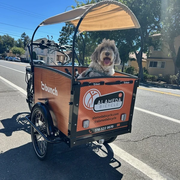 Photo of Alameda Bicycle