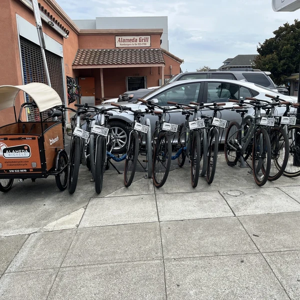 Photo of Alameda Bicycle